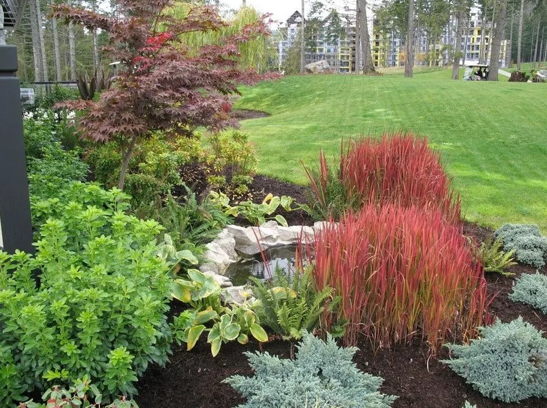 Picture of bushes, shrubs, and flowers in a garden landscape designed by Larix Landscape in Victoria BC