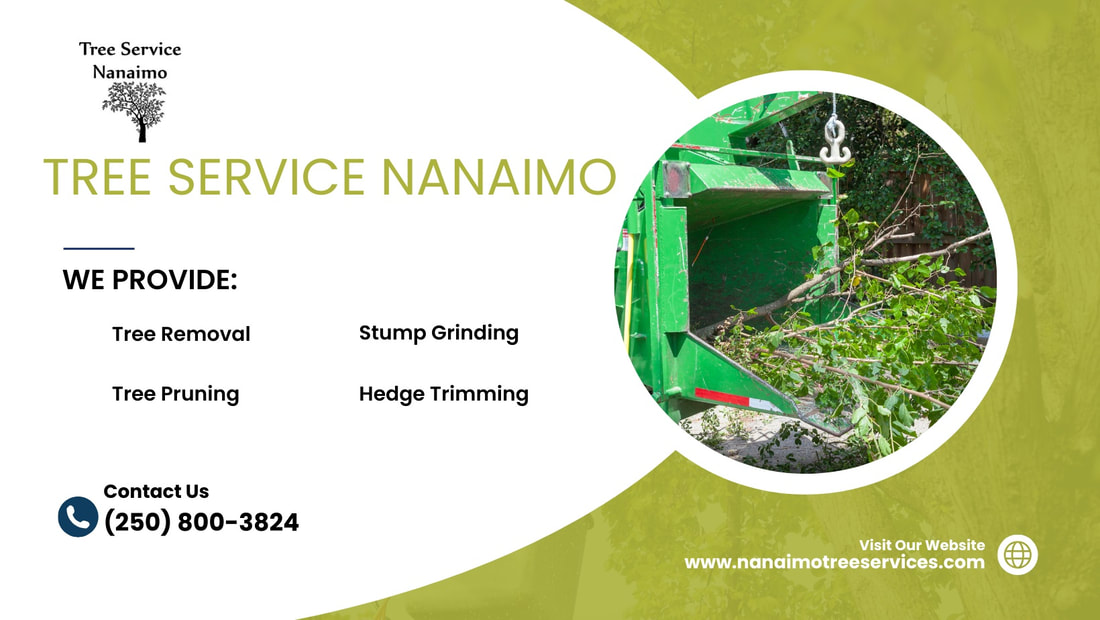 tree service in nanaimo bc cost 
